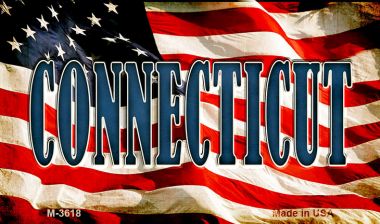 M-3618 3.5 x 2 in. Connecticut Novelty Metal Magnet
