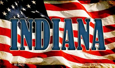 M-3625 3.5 x 2 in. Indiana Novelty Metal Magnet