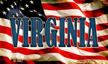 M-3657 3.5 x 2 in. Virginia Novelty Metal Magnet