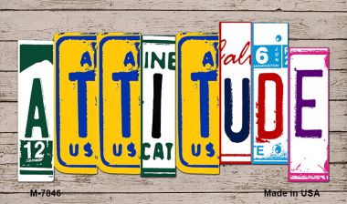 M-7846 3.5 x 2 in. Attitude Wood License Plate