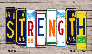 M-7904 3.5 x 2 in. Strength License Plate
