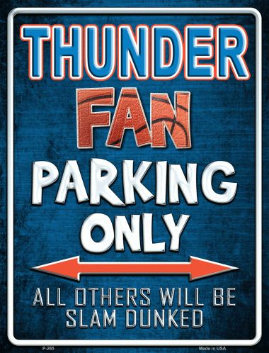 P-265 9 x 12 in. Thunder Metal Novelty Parking Sign