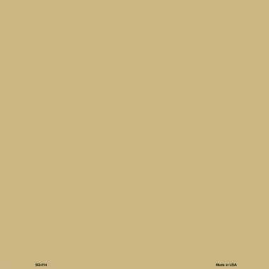 SQ-014 12 x 12 in. Gold Solid Novelty Metal Square Sign