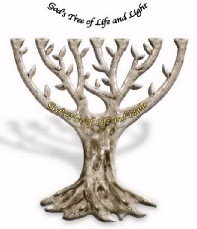 69505 Menorah-Gods Tree of Life & Light - 7 Branched