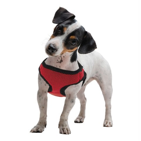 Picture of BrybellyHoldings AHRN-002 Small Red Soft & Safe Dog Harness
