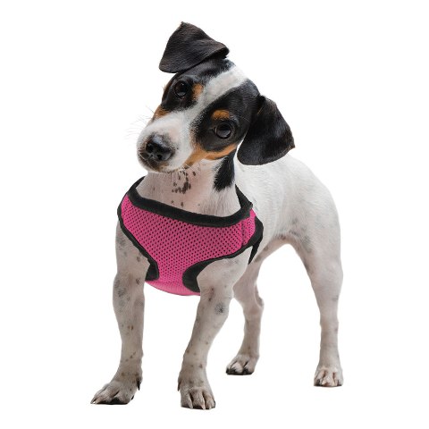 Picture of BrybellyHoldings AHRN-203 Medium Pink Soft & Safe Dog Harness