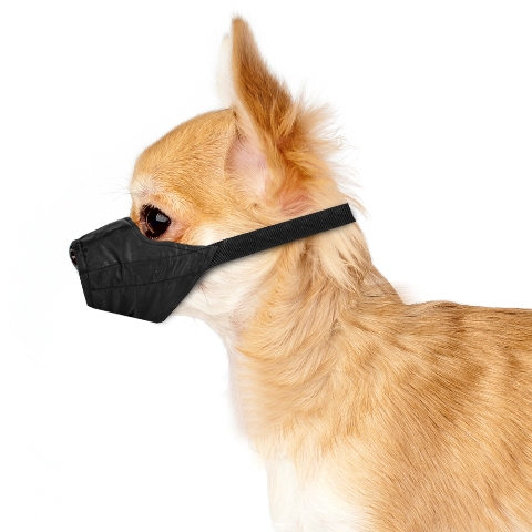 Picture of BrybellyHoldings AMUZ-003 Small Nylon Dog Muzzle