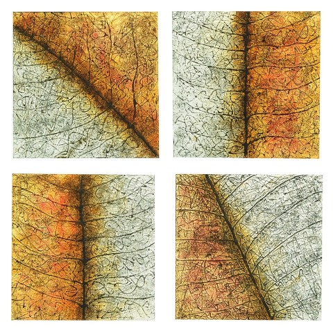 CVTOP1847 Four Beauty Canvas Wall Art - 23.5 x 23.5 in.