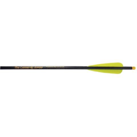 Picture of Burt Coyote  BCAP3 Lumenok Carbon Bolts 20 in. With Red Capture Nock