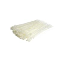 6 in. Nylon Cable Ties - Pack of 100