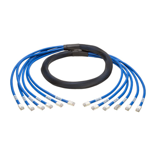 Tripp Lite N261-010-6MM-BL Cat 6 & 6A Copper Bundle Patch