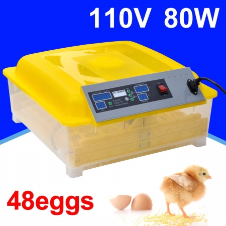 Picture of  CB16763 Egg Incubator Hatcher Digital Temperature Control Automatic Turning 48 Eggs