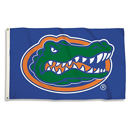 NCAA Florida Gators Flag with Grommets - 3 x 5 ft.