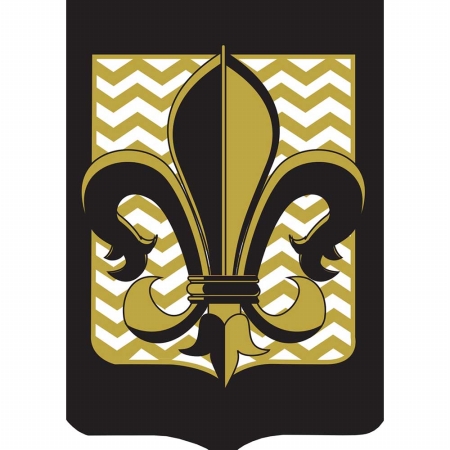 Fleur De Lis Flag with Gold Chevron, Large