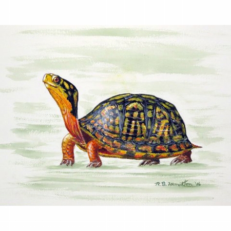 Betsy Drake PM491 Happy Turtle Place Mat - Set of 4