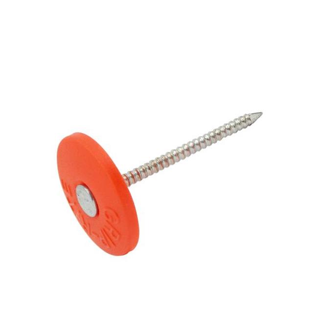 Grip-Rite 5024733 3 in. 2K Cap Electro-Galvanized Plastic & Steel Nail with F...