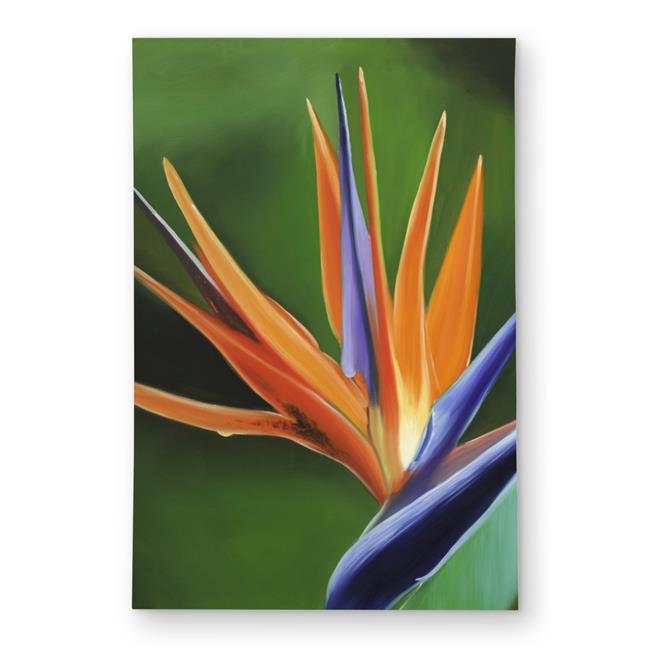 Begin Home Decor C1ROAR23XIRCLR 2 x 3 ft. Bird of Paradise Flower Orange Outd...