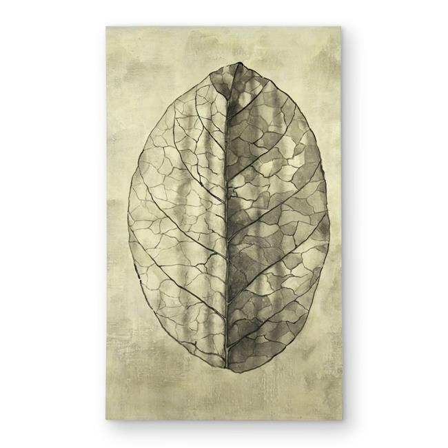 Begin Home Decor C1ROAR35T6Y3SF 3 x 5 ft. Translucent - Minimalist Floral Out...