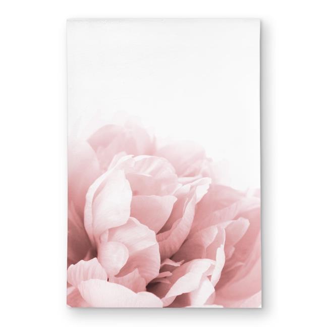 Begin Home Decor C1ROAR23CLGIKT 2 x 3 ft. Peony Flower Dream - Pink Photograp...