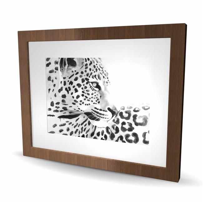 Begin Home Decor C1FM162022N2VY 16 x 20 in. Beautiful Leopard - Black & White...