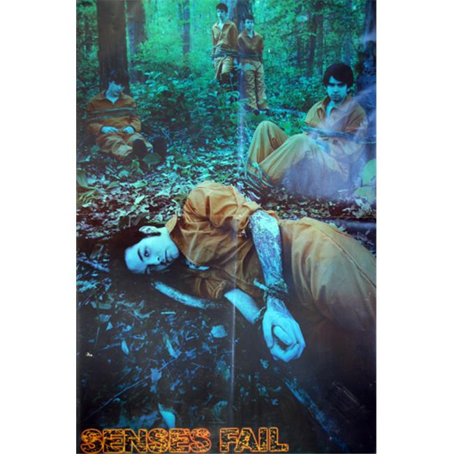 Z028-24x36-NA 24 x 36 in. Senses Fail Poster Print