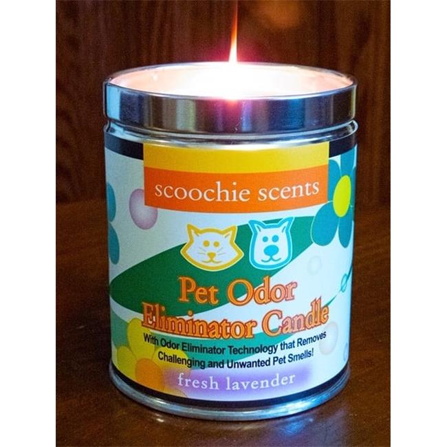 Scoochie Pet 261 Lavender Pet Odor Removing Candle - 13 oz