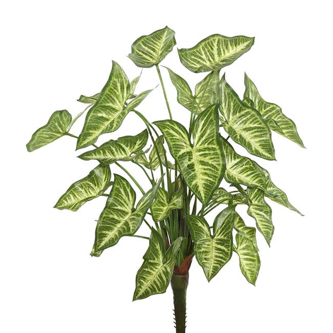 Vickerman FB171901 22 in. Syngonium Bush Featuring with 25 Leaves  Green