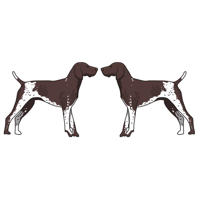 SignMission 6 in. Super Cute Dog Decal - German Shorthaired Pointer - Pack of 2