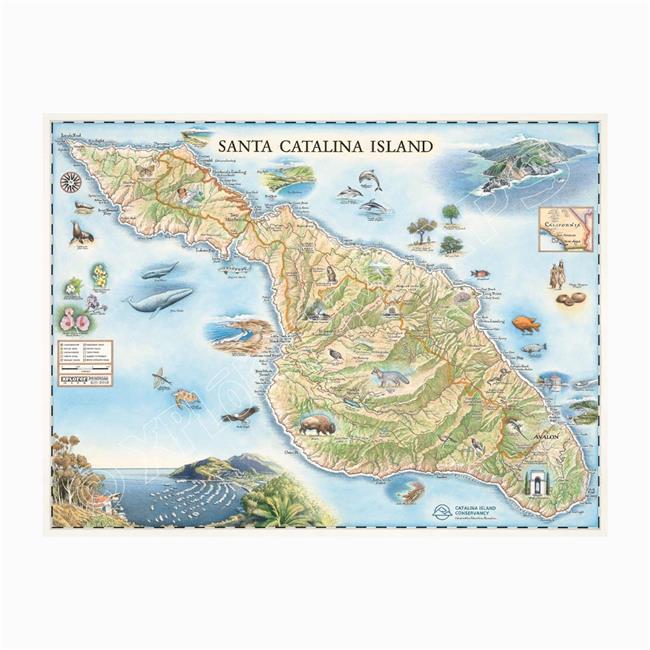 Xplorer Maps MAP CATI Santa Catalina Island Hand-Drawn Map